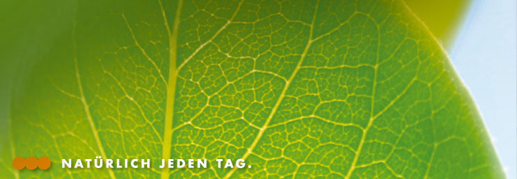 grünes Blatt, Copyright: mmde; Marco Vetten / aboutpixel.de